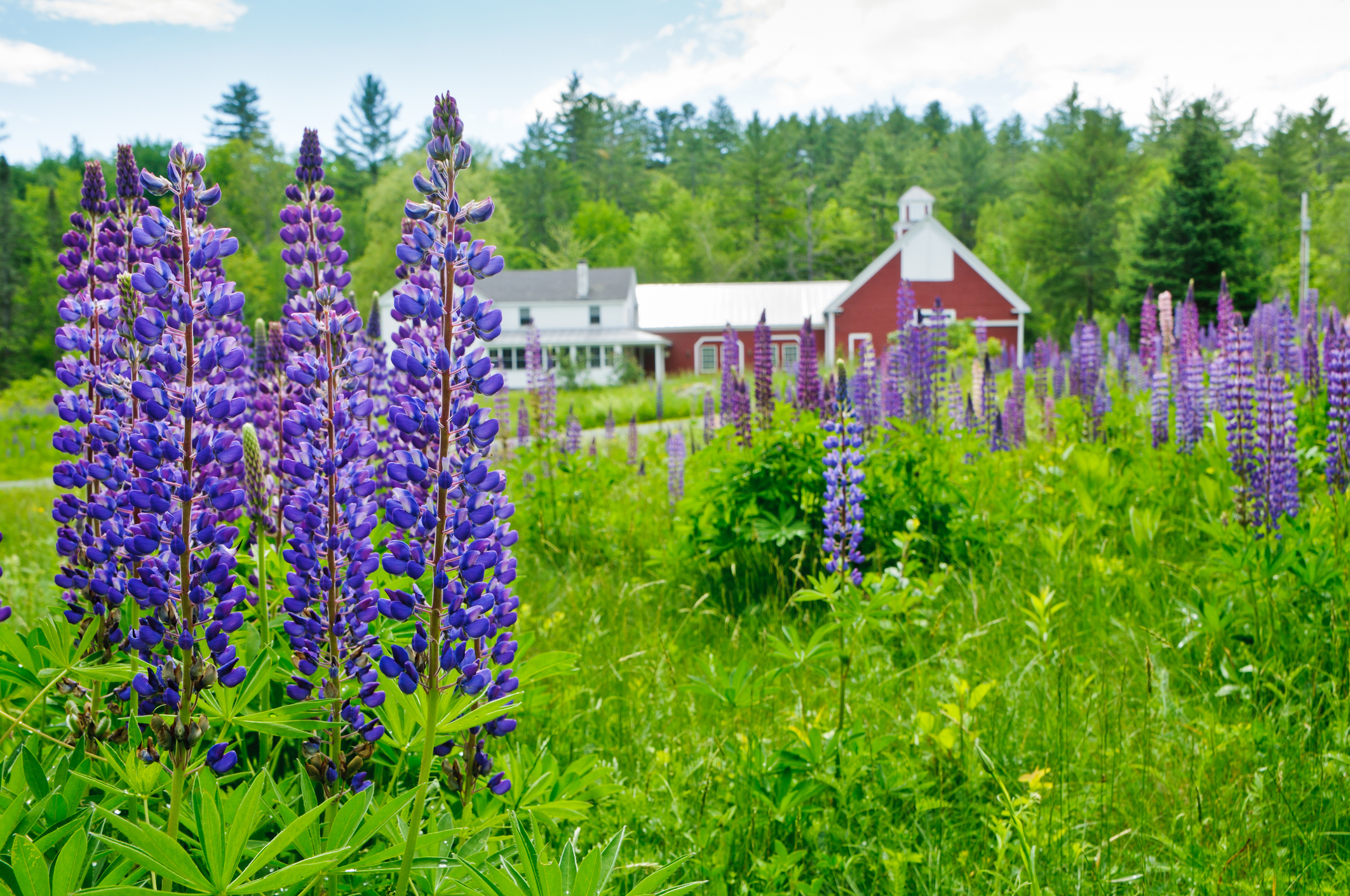 Raymond NH Electrician